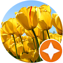 aisyeah humaira aisyeah humaira